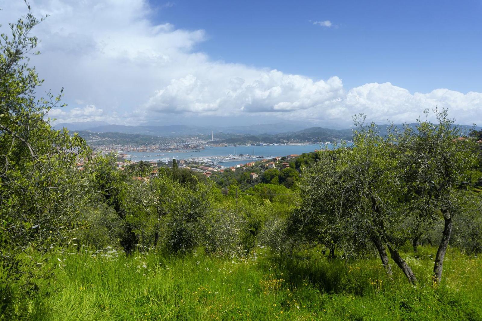 Gli Ulivi Sul Golfo E Le 5 Terre Apartment ลาสเปเซีย ภายนอก รูปภาพ