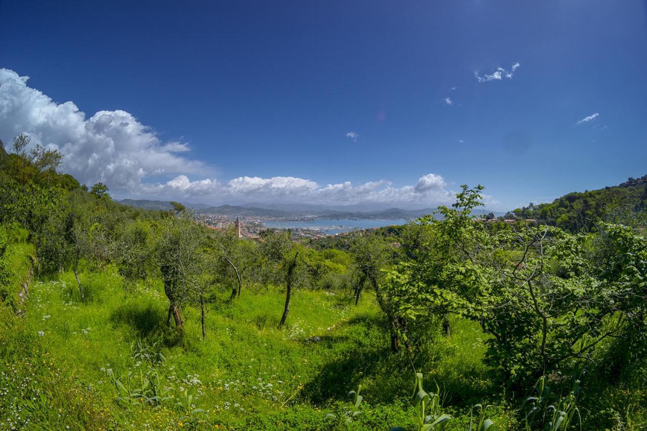 Gli Ulivi Sul Golfo E Le 5 Terre Apartment ลาสเปเซีย ภายนอก รูปภาพ